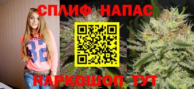 гидра Краснознаменск