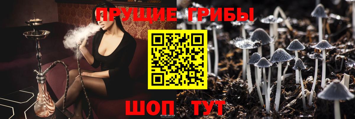 Галлюциногенные грибы ЛСД  Вход с VPN  Урюпинск 